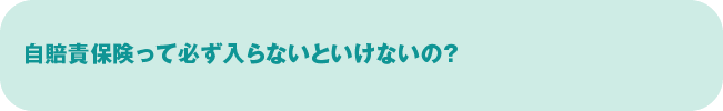自賠責保険って必ず入らないといけないの？