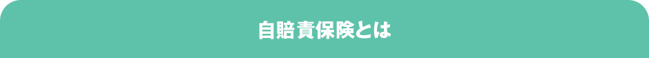 保険期間・保険料（沖縄県、離島地域を除く）